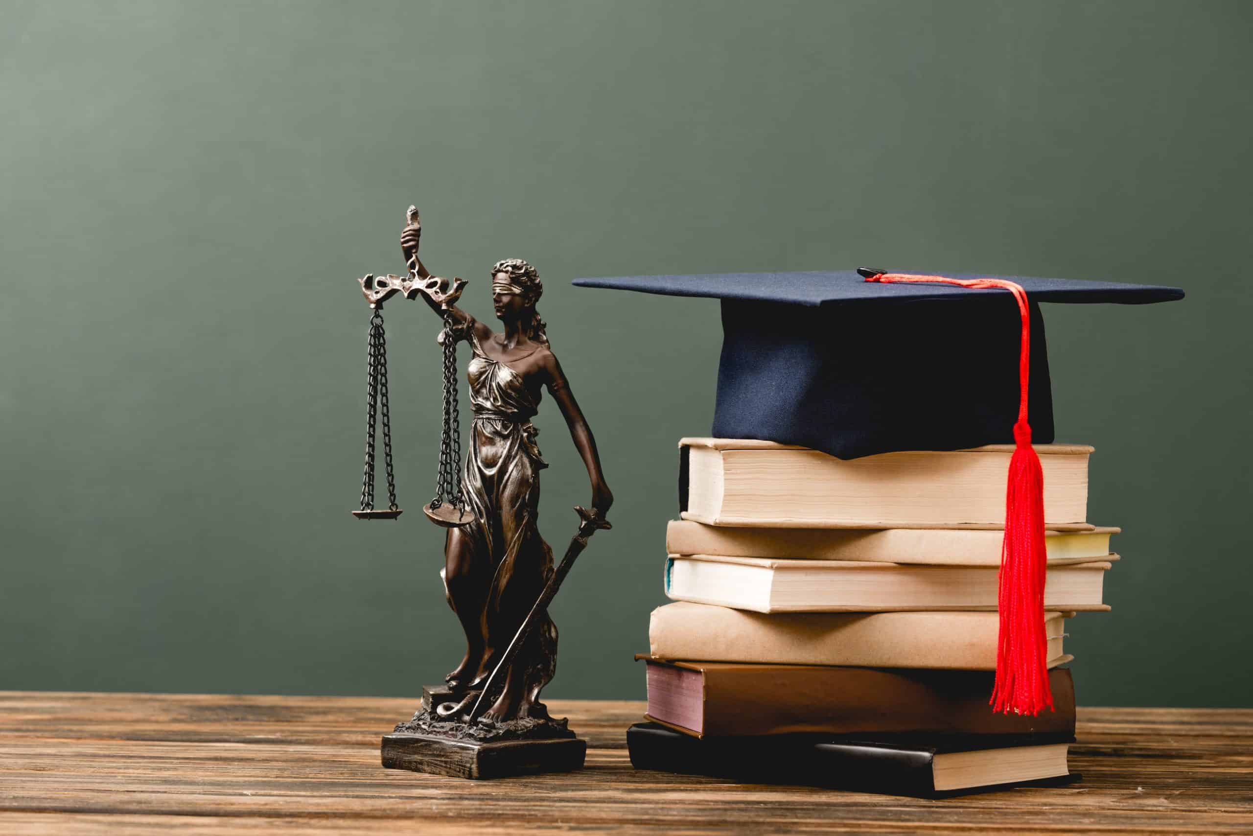 The Role of a Labour Lawyer in South Africa